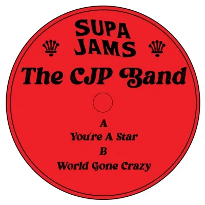 You're A Star — 12″ label art